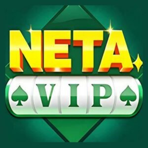 NETA VIP