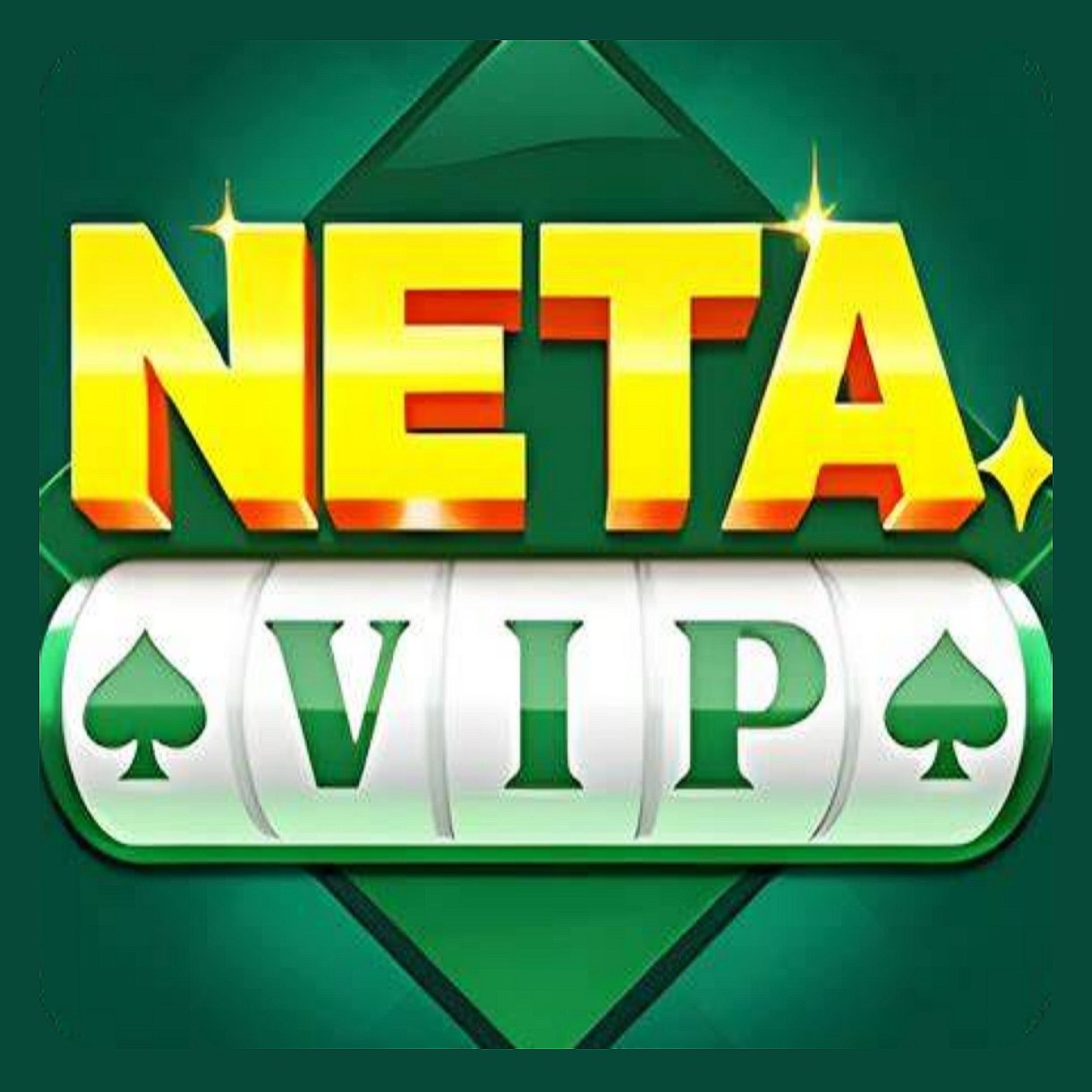 NETA VIP